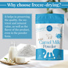 Aadvik Camel Milk Powder - 100% Pure & Natural Freeze Dried - 500G