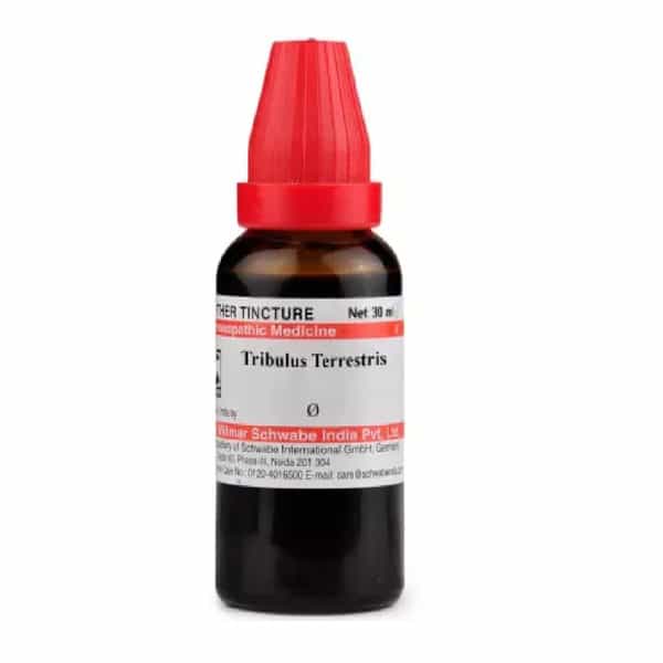 Dr. Willmar Schwabe India Tribulus Terrestris 30Ml Mother Tincture Q (Pack Of 2)