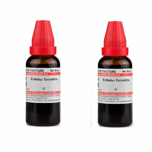 Dr. Willmar Schwabe India Tribulus Terrestris 30Ml Mother Tincture Q (Pack Of 2)