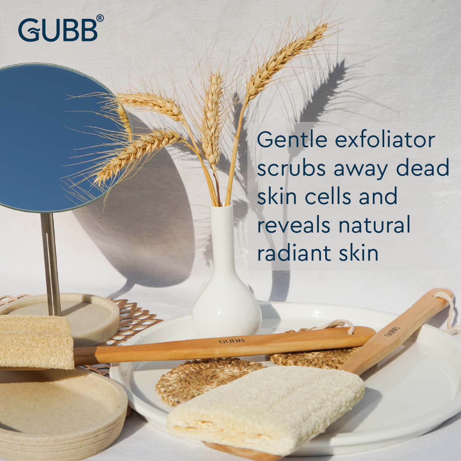 Buy GUBB NATURAL LOOFAH BRUSH WITH DETACHABLE HANDLE Online & Get Upto