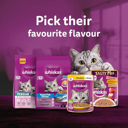 Whiskas Adult (1+ Years) Wet Cat Food | Chicken In Gravy | 80 G (Pack Of 56)