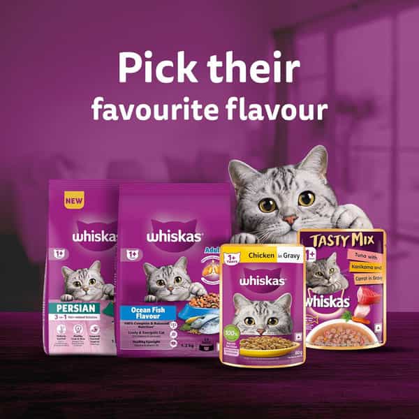 Whiskas Adult (1+ Years) Wet Cat Food | Chicken In Gravy | 80 G (Pack Of 56)