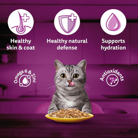 Whiskas Adult (1+ Years) Wet Cat Food | Chicken In Gravy | 80 G (Pack Of 56)