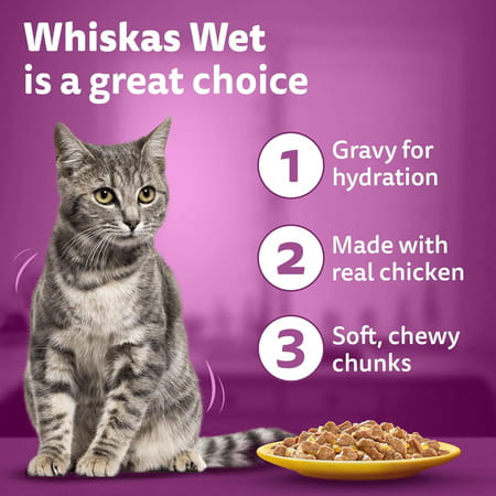Whiskas Adult (1+ Years) Wet Cat Food | Chicken In Gravy | 80 G (Pack Of 56)