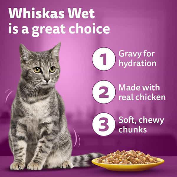 Whiskas Adult (1+ Years) Wet Cat Food | Chicken In Gravy | 80 G (Pack Of 56)