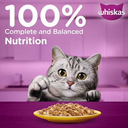 Whiskas Adult (1+ Years) Wet Cat Food | Chicken In Gravy | 80 G (Pack Of 56)