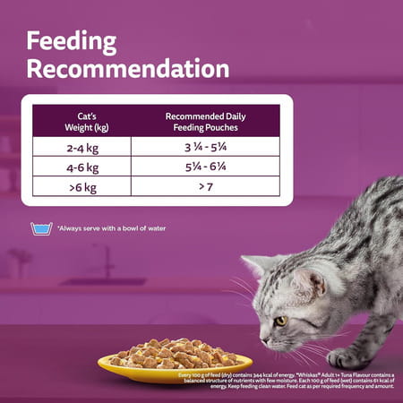 Whiskas Adult (1+ Years) Wet Cat Food | Chicken In Gravy | 80 G (Pack Of 56)