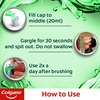 Colgate Plax Antibacterial Mouthwash 24/7 Fresh Breath With Natural Tea Extracts (Fresh Tea) -500Ml