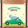 Tea Trunk Spearmint Green Tea -100G Tin