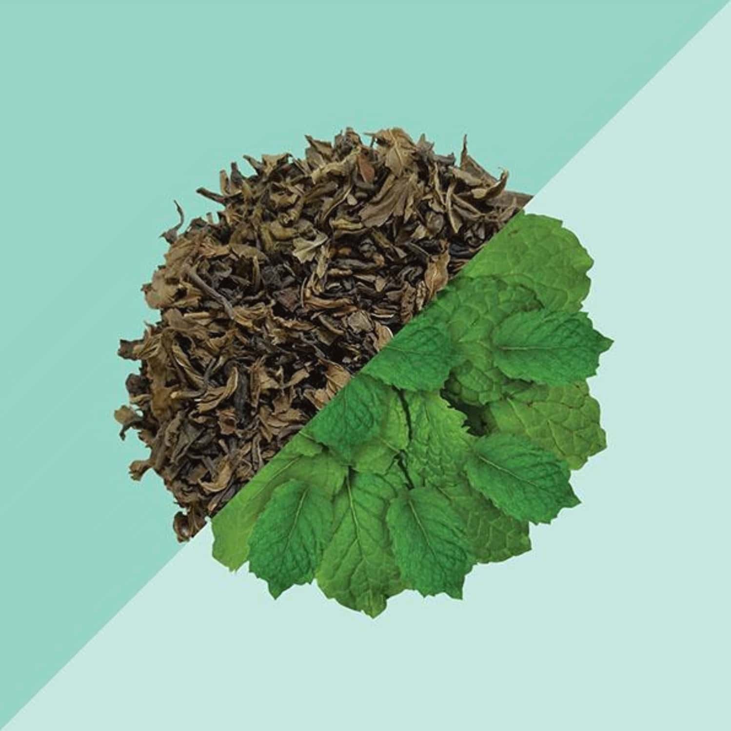 Buy TEA TRUNK SPEARMINT GREEN TEA 100G TIN Online & Get Upto 60 OFF