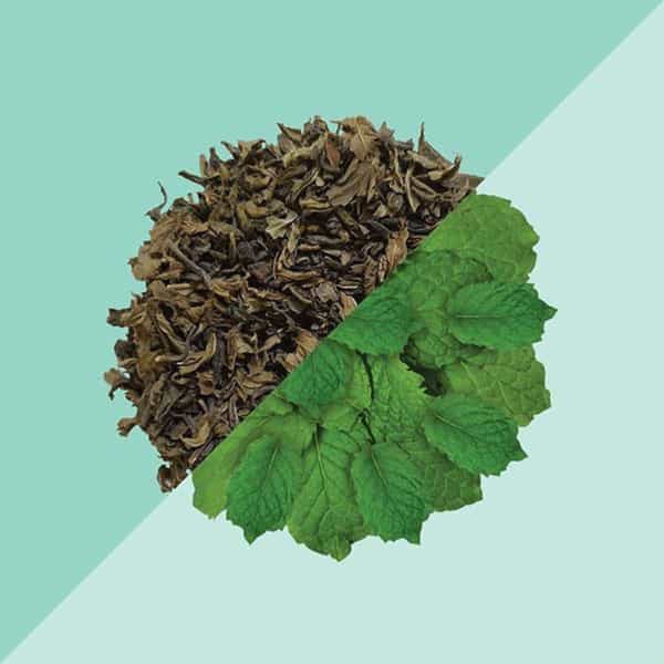 Tea Trunk Spearmint Green Tea -100G Tin