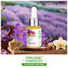 Organic Harvest Kumkumadi Radiance Face Oil: Saffron, Oat Milk & Sandalwood | For Glowing Skin, 30ml