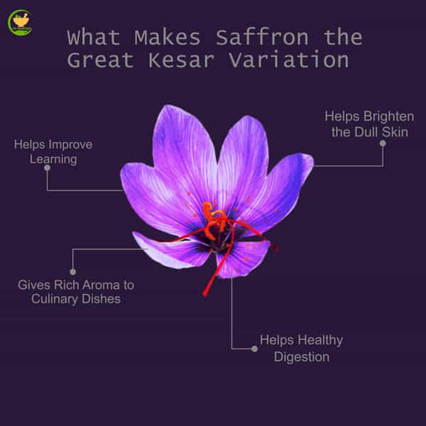 Fij Ayurveda A++ Grade Pure Kashmiri Saffron Threads |Original Kesar For Men & Women - 1Gm