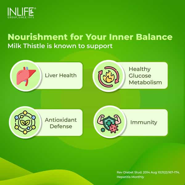Inlife Milk Thistle 800Mg For Liver Health & Detox Support - 120 Capsules