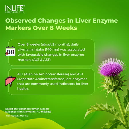 Inlife Milk Thistle Extract 800Mg | 80% Silymarin Liver Support Supplement - 120 Vegetarian Capsules