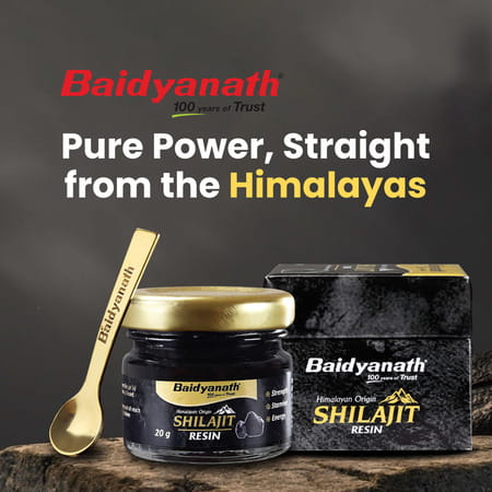 Baidyanath Himalayan Shilajit Resin | Rich In Fulvic Acid | For Strength | Power & Stamina - 20g