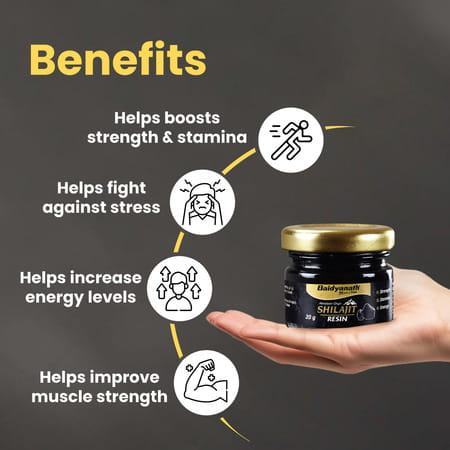 Baidyanath Himalayan Shilajit Resin | Rich In Fulvic Acid | For Strength | Power & Stamina - 20g