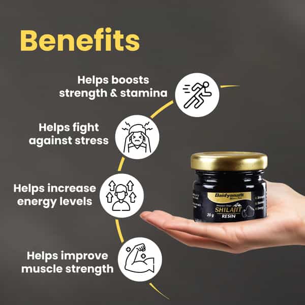 Baidyanath Ayurved Himalayan Shilajit Resin 20G | Fulvic Acid Strength Support