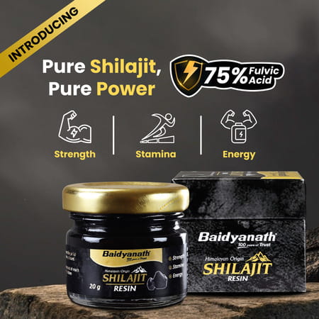 Baidyanath Himalayan Shilajit Resin | Rich In Fulvic Acid | For Strength | Power & Stamina - 20g
