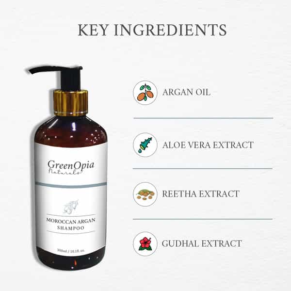 Moroccan Argan Oil Hair Shampoo (300Ml) Pack Of 2