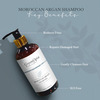 Moroccan Argan Oil Hair Shampoo (300Ml) Pack Of 2