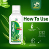 Prime Aloe Vera Juice With Pulp | Sugar Free | Anti-Oxidant Supports Digestion & Skin Health 500 Ml