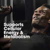 Optimum Nutrition (On) Multivitamin For Men | 26 Vitamins & Minerals|Amino Acids|Anti-Oxidants - 60n
