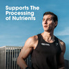 Optimum Nutrition (On) Multivitamin For Men | 26 Vitamins & Minerals|Amino Acids|Anti-Oxidants - 60n