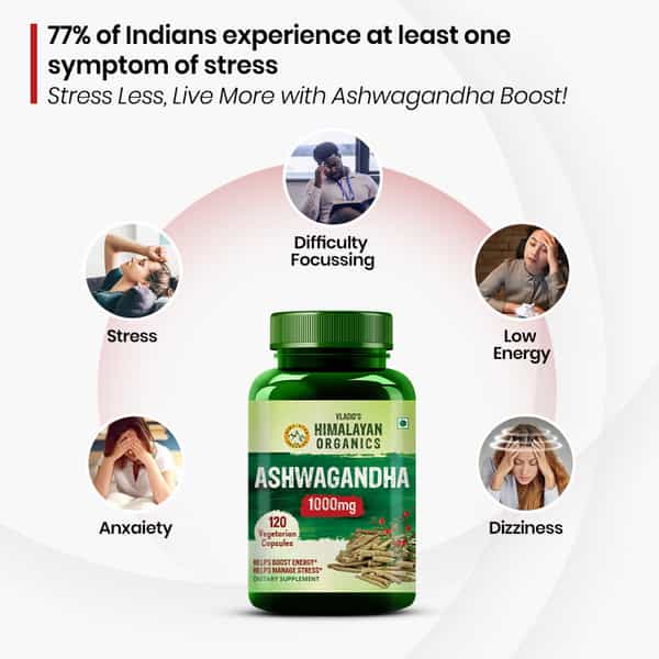 Vlado's Himalayan Organics Ashwagandha 1000Mg Supplement (120 Capsules)