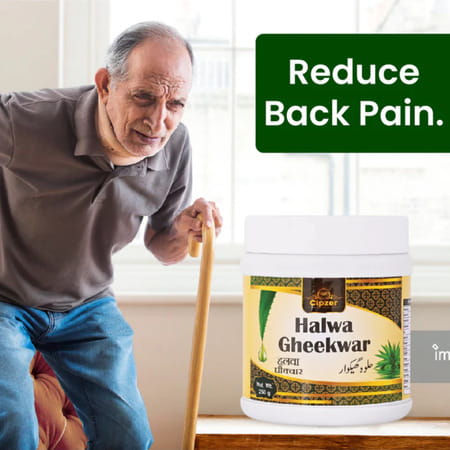 Cipzer Halwa Gheekwar 250g | Supports Joint Health| Mobility & Pain Relief