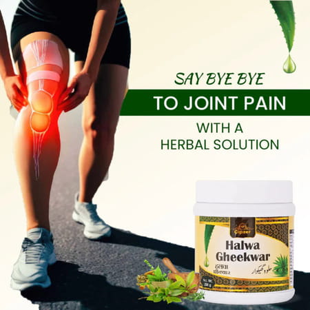Cipzer Halwa Gheekwar 250g | Supports Joint Health| Mobility & Pain Relief