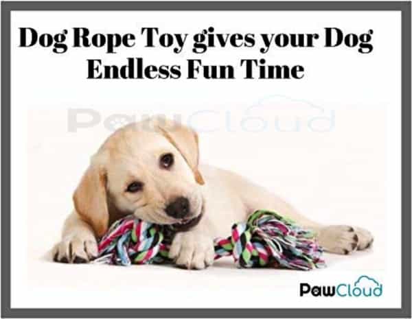 Pawcloud Cotton Rope Dog Toy Medium - 9.5 Inch Interactive Teething & Chewing Dog Multicolor Toy