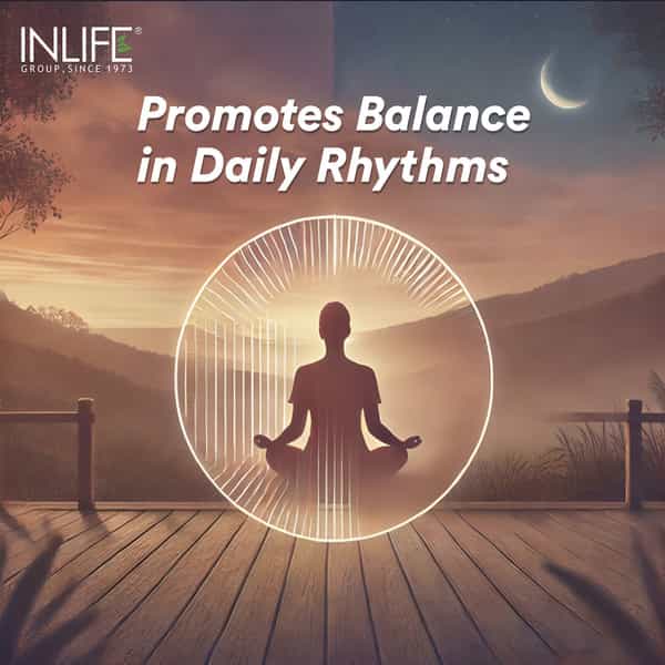 Inlife Melatonin 5Mg Tablets | Promotes Sleep And Relaxation |For Men And Women - 120 Tablets