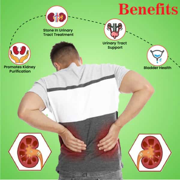 Cipzer Majoon Sang-E-Sarmahi 125Gm | Herbal Tonic For Kidney & Urinary Stone Support