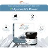 Dr. Morepen Health Essentials - Shilajit Resin 15G Ashwagandha Capsules Pack Of 3 & Chyawaprash 500G