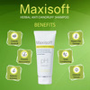 Maxisoft Herbal Anti-Dandruff Shampoo | For All Skin Types | Tube | 100 Ml | Pack Of 3