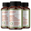 Jiva Arjuna Tablets|Promotes Heart Health|Maintain Cholestrol Level - 120 Tabs (Pack Of 3)