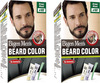 Bigen Men's Beard Color Brown Black B102 40G (Pack Of 2)
