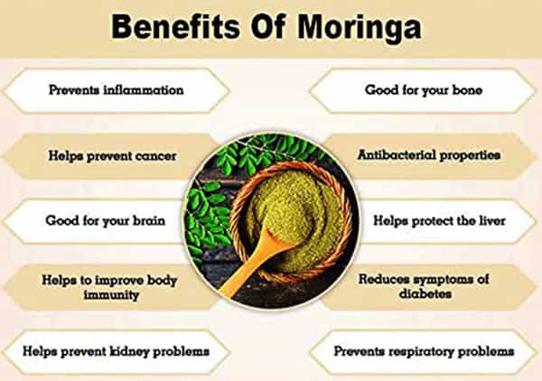 Ved Tattva Moringa Leaf Extract Tablets 500Mg Tablets 120 Count Moringa Oleifera Tablets
