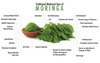 Ved Tattva Moringa Leaf Extract Tablets 500Mg Tablets 120 Count Moringa Oleifera Tablets