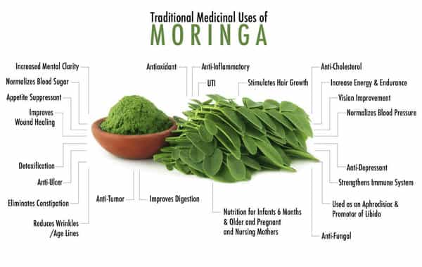 Ved Tattva Moringa Leaf Extract Tablets 500Mg Tablets 120 Count Moringa Oleifera Tablets