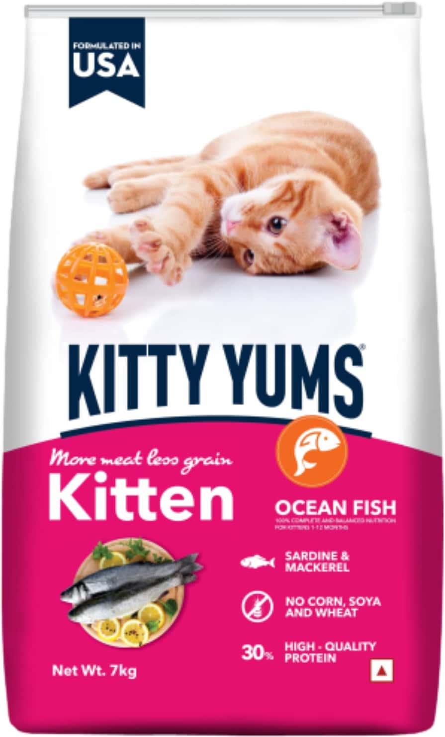 Kitty Yums Kitten(1-12 Months) Dry Cat Food | Ocean Fish | 7kg Pack