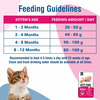Kitty Yums Kitten(1-12 Months) Dry Cat Food | Ocean Fish | 7Kg Pack
