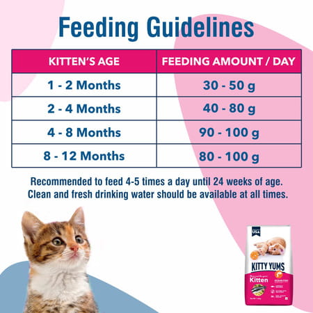 Kitty Yums Kitten(1-12 Months) Dry Cat Food | Ocean Fish | 7Kg Pack