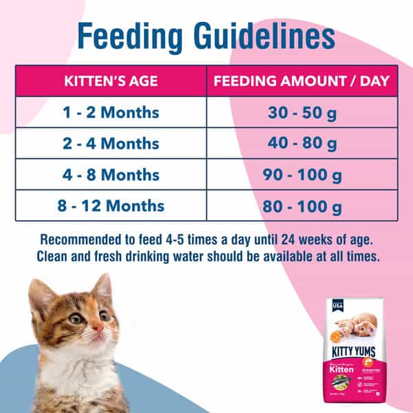 Kitty Yums Kitten(1-12 Months) Dry Cat Food | Ocean Fish | 7Kg Pack