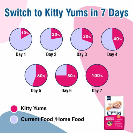 Kitty Yums Kitten(1-12 Months) Dry Cat Food | Ocean Fish | 7Kg Pack