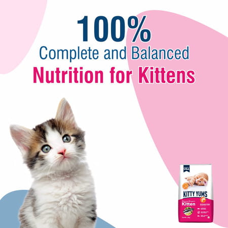 Kitty Yums Kitten(1-12 Months) Dry Cat Food | Ocean Fish | 7Kg Pack