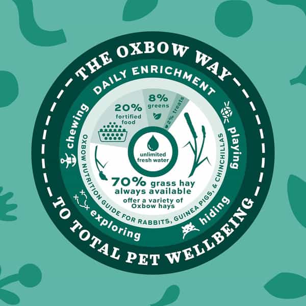 Oxbow Animal Health Hamster Western Timothy Hay For Pets | 15-Ounce | All Life Stages | 1 Count
