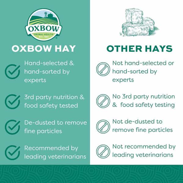 Oxbow Animal Health Hamster Western Timothy Hay For Pets | 15-Ounce | All Life Stages | 1 Count