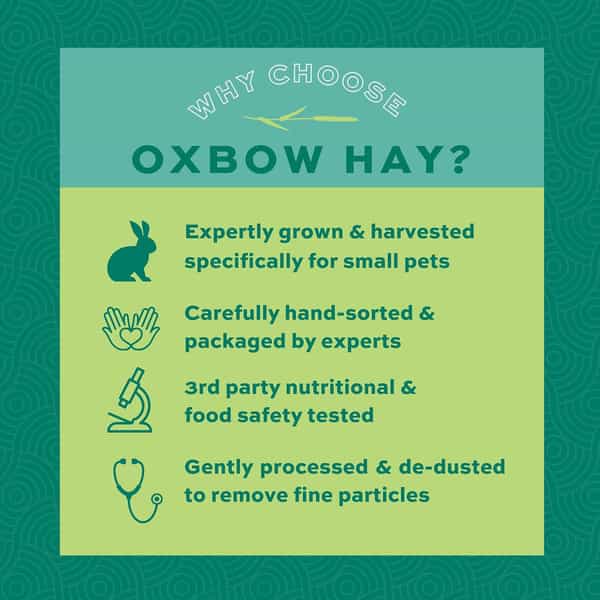 Oxbow Animal Health Hamster Western Timothy Hay For Pets | 15-Ounce | All Life Stages | 1 Count
